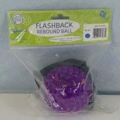 Bargainwizz Toysmith Flashback Rebound Ball