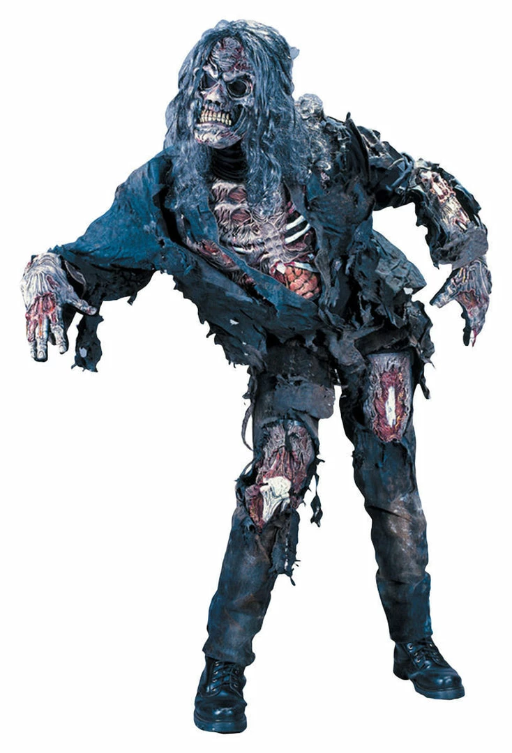 Flash Sale βοΈ Bargainwizz Costumes Complete Zombie Costume π 2 Bargainwizz Costumes Complete Zombie Costume